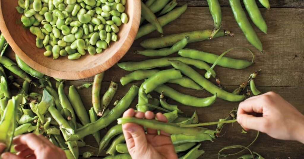 best vegetables to grow in October