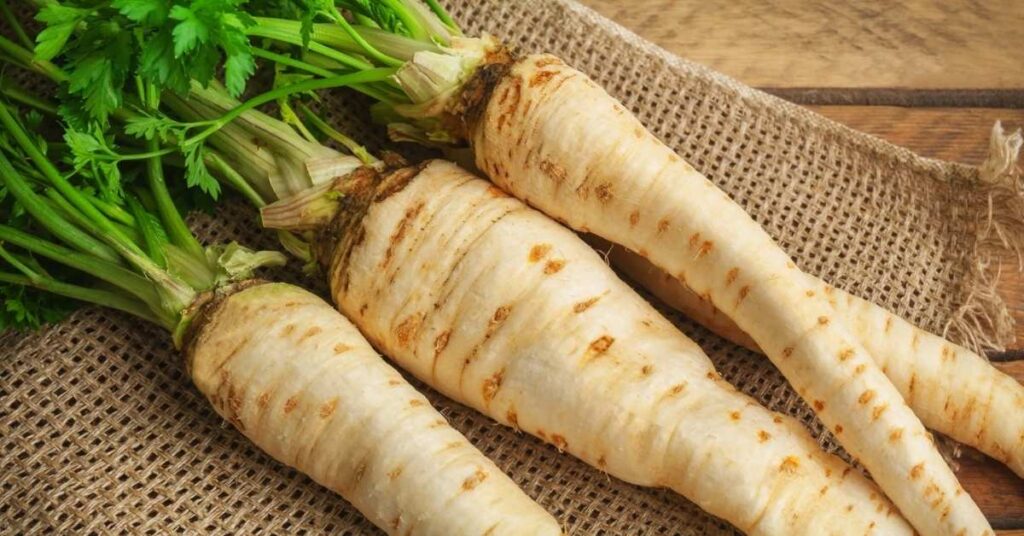 best vegetables to grow in October