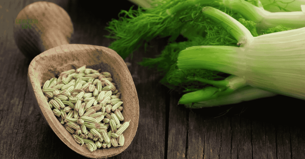 9 best vegetables to grow in September