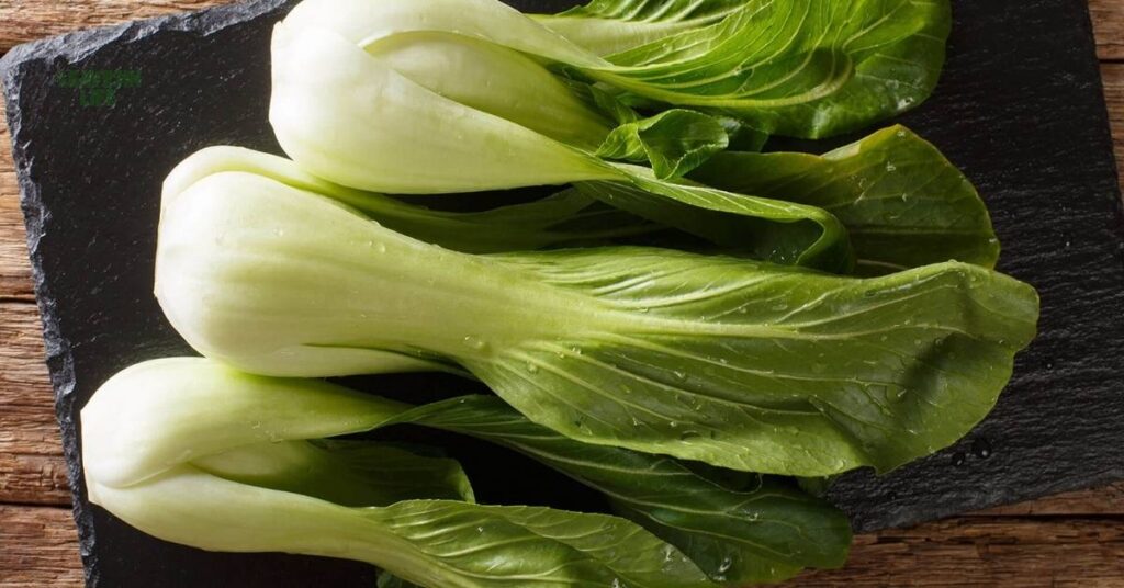 9 Best Vegetables to Grow in September
