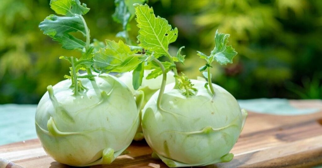 9 best vegetables to grow in September