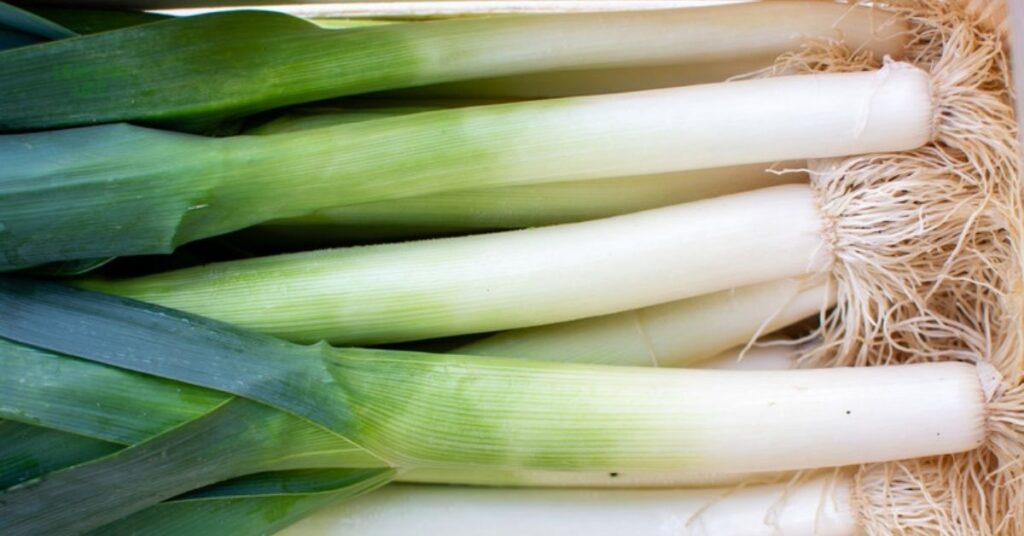 9 best vegetables to grow in September