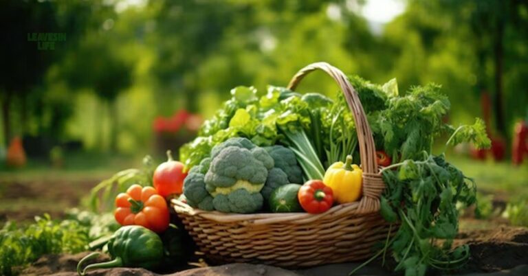 9 Best Vegetables to Grow in September September