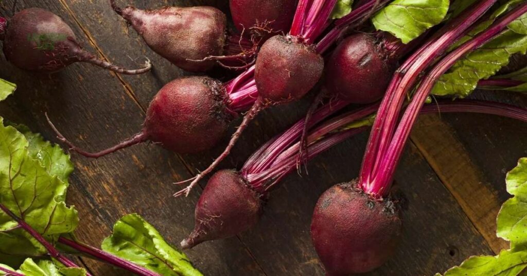 vegetables to plant in August