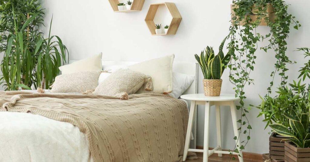 air-purifying indoor plants