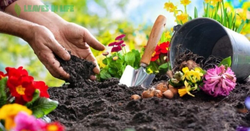 gardening