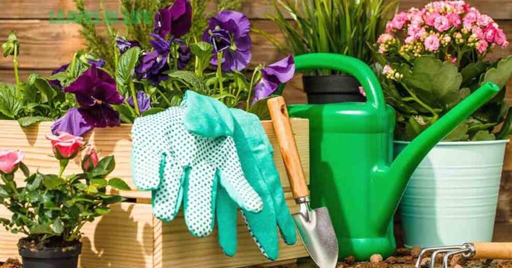 Gardening – Plant Your Free Time and Give Life to Some Seeds gardening