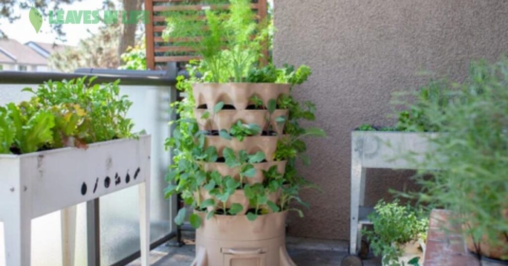 Gardening – Plant Your Free Time and Give Life to Some Seeds gardening