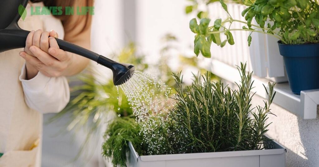 gardening