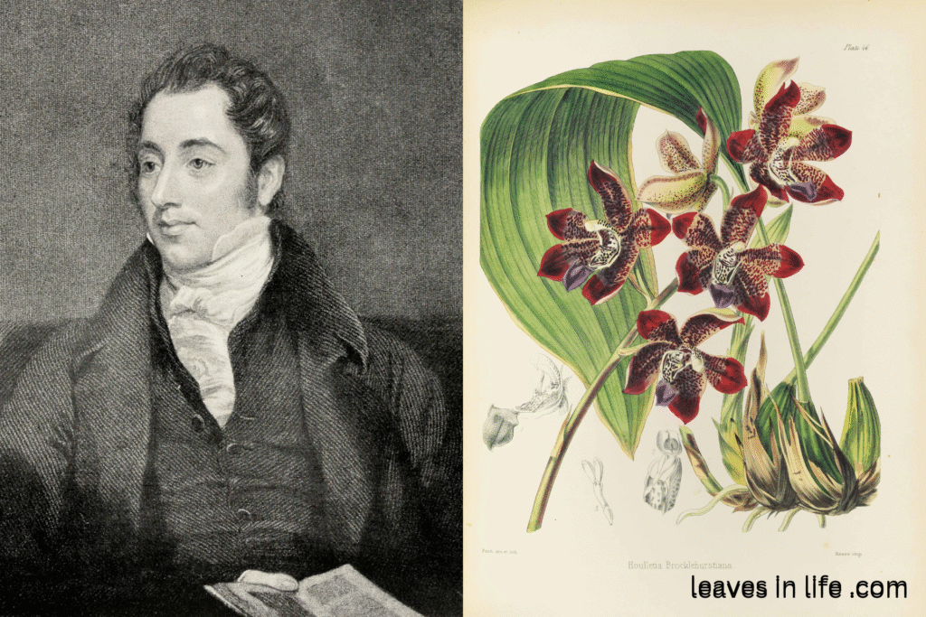  Sir William Jackson Hooker