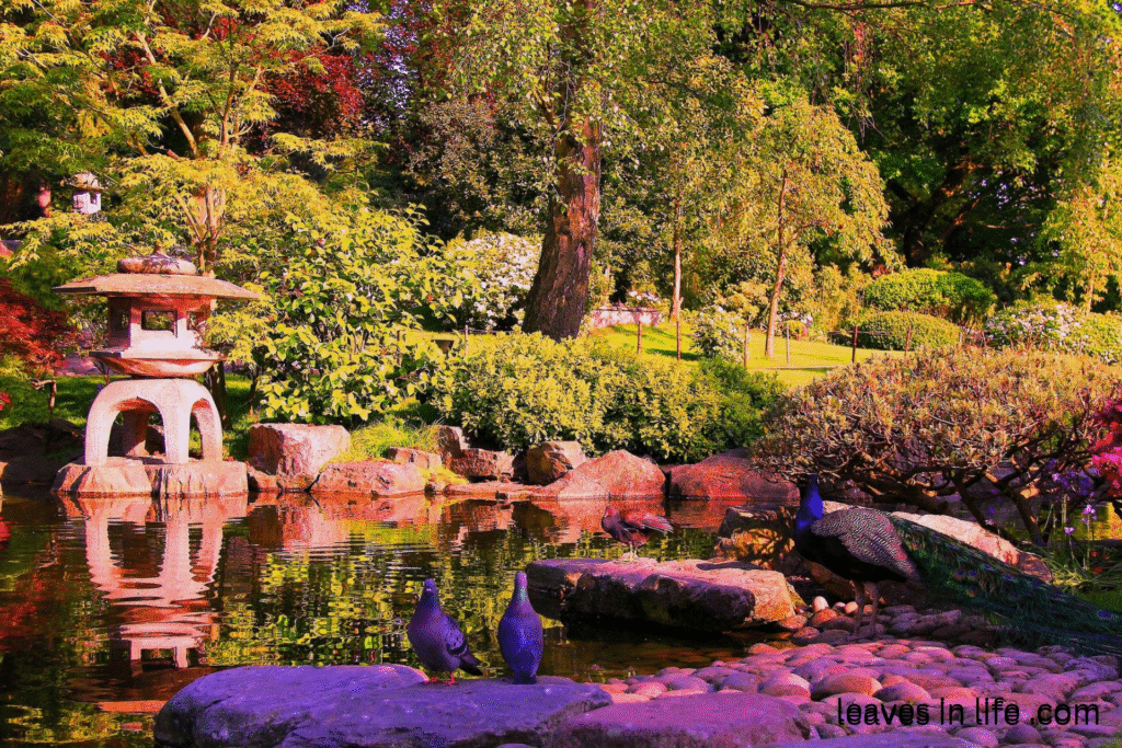 Kyoto Garden London - Pure natural gift from Japan