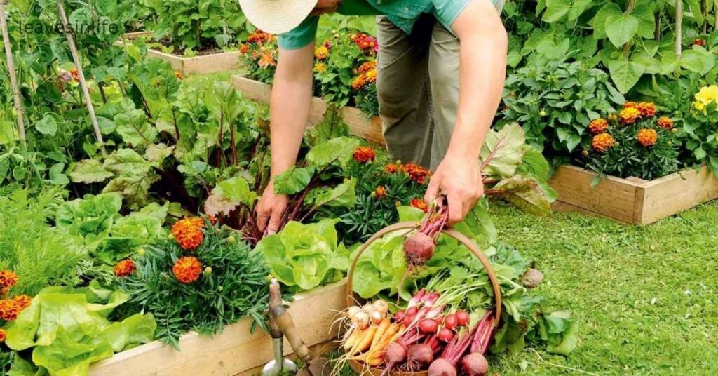 flower vegetables