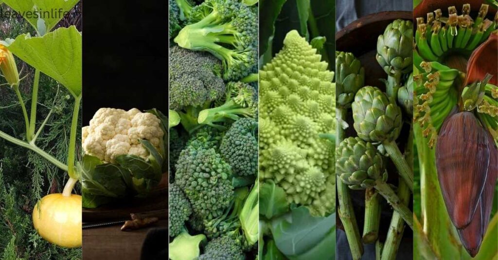 flower Vegetables