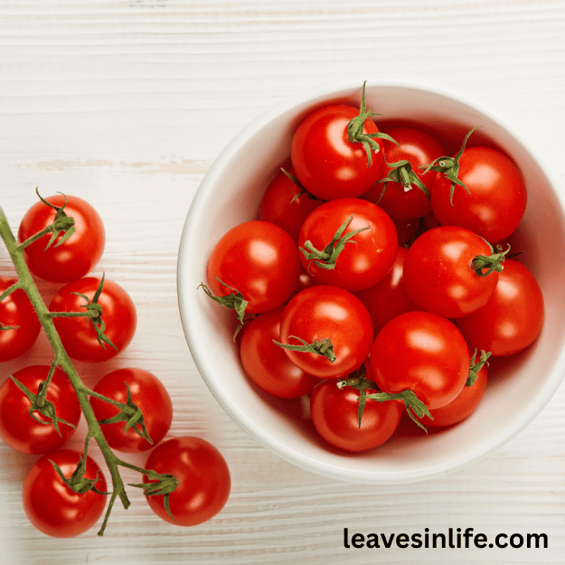 hoe to grow cherry tomatoes at home