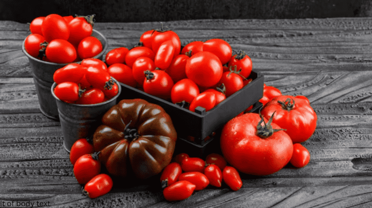 maintenance of tomato plants indoor and outdoor