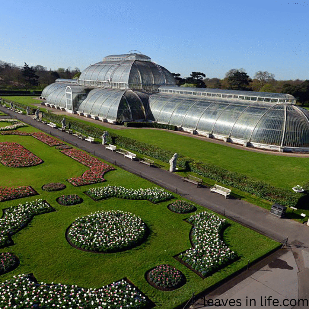 The Royal Botanic Gardens (Kew) - London