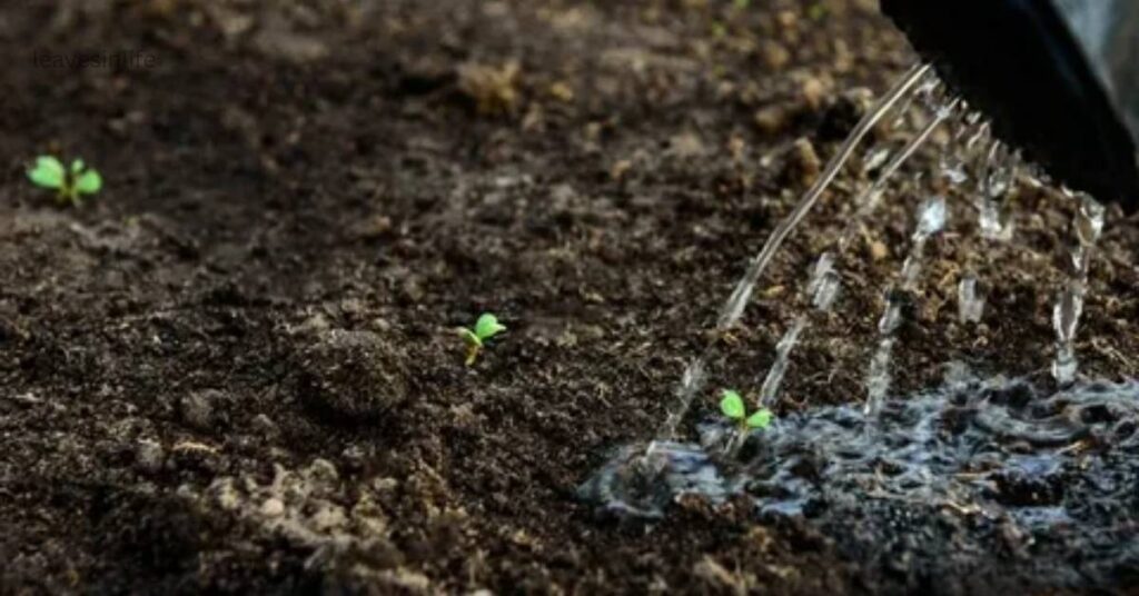 soil preparation
