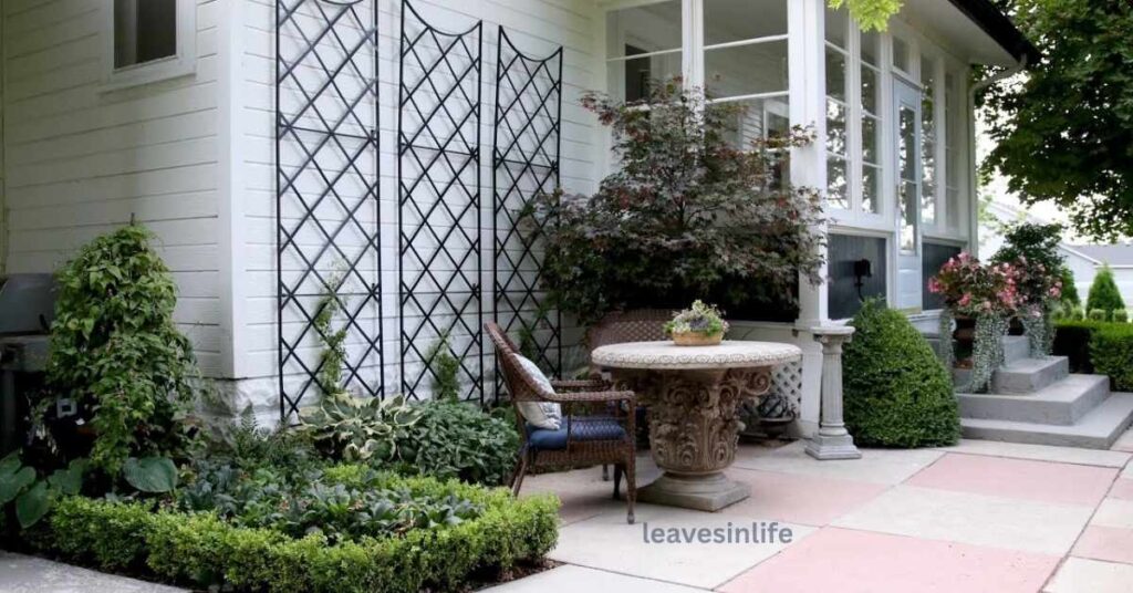 Decorative trellis with blooming vines adding color and structure to a small garden space
