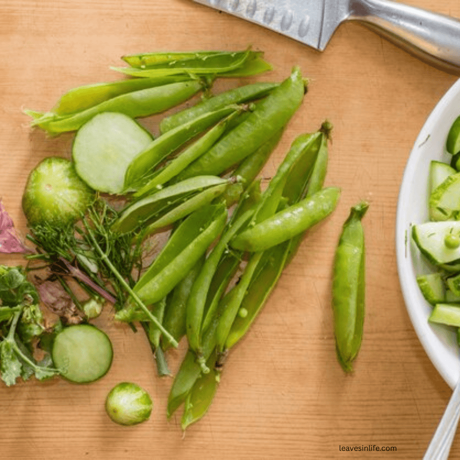 making organic fetilizer from kitchen leftovers