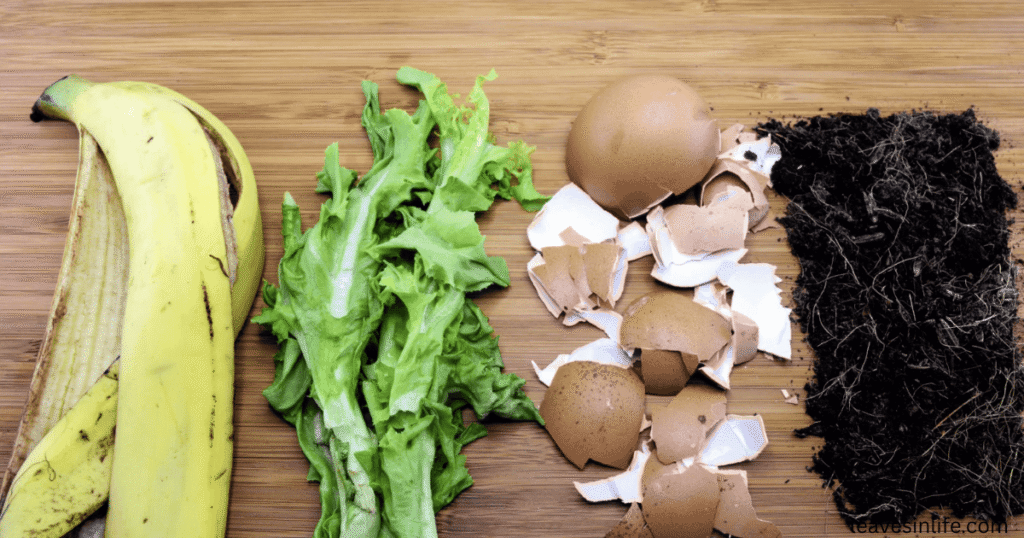 best natural and organic fertilizers for plants that canbe made in home