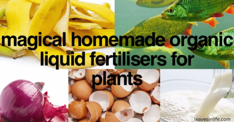 7 liguid natural fertilizer recepies for tomato plants